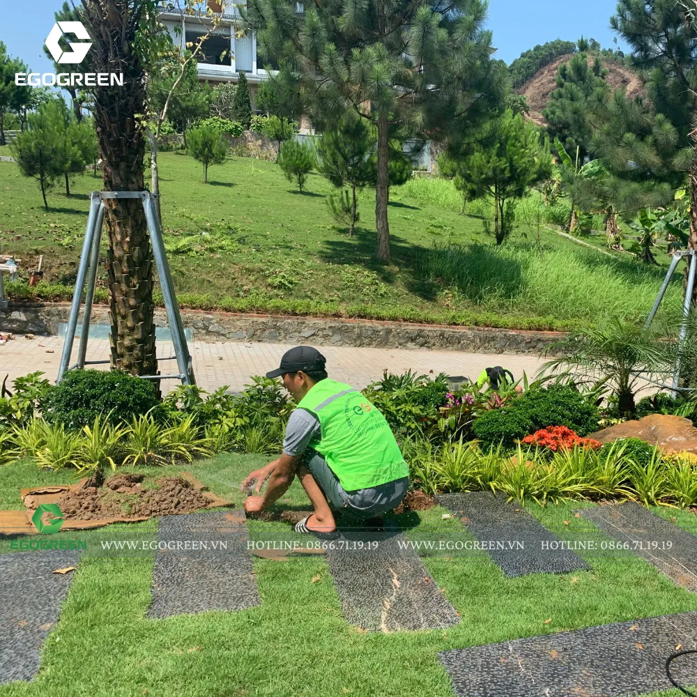 Thiết kế hệ thống thoát nước và lớp thoát khí